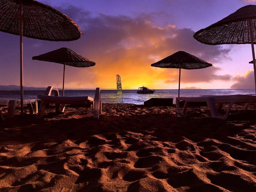 Hotel Cicek Evler Tatil Koeyue Armutlu Exterior foto